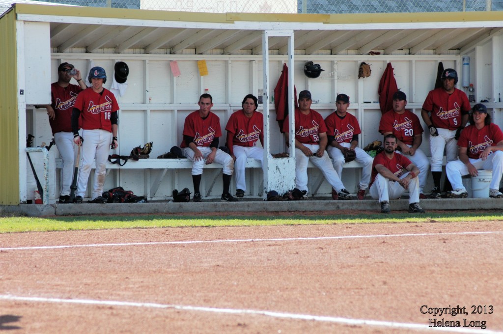 Unity Cardinals Senior Men's Baseball Team