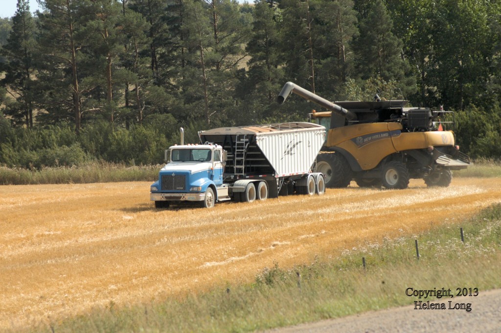 combine and grain truck