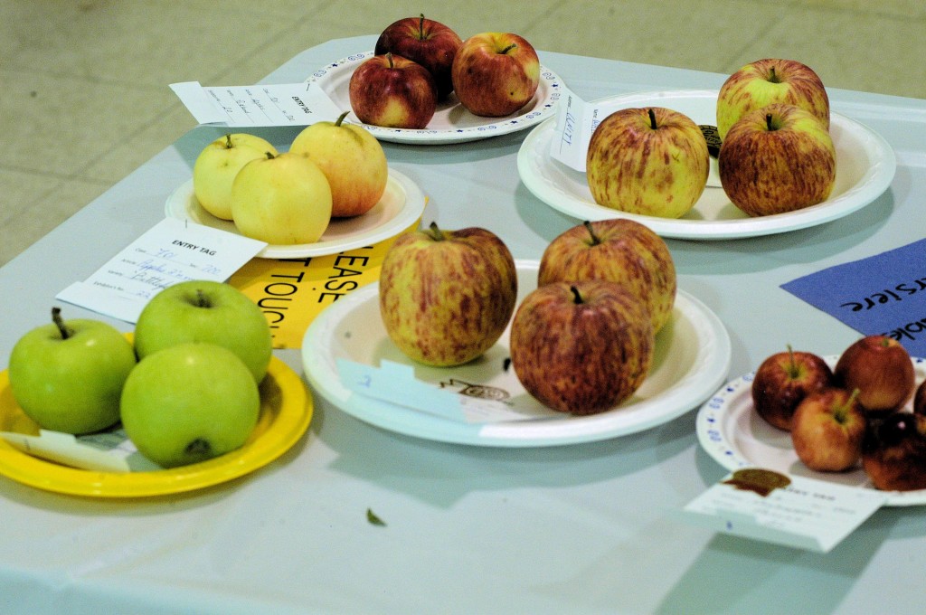 Unity fall fair
