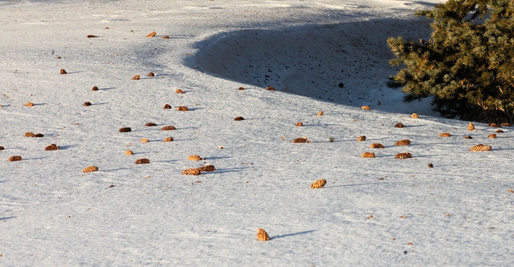 after the wind