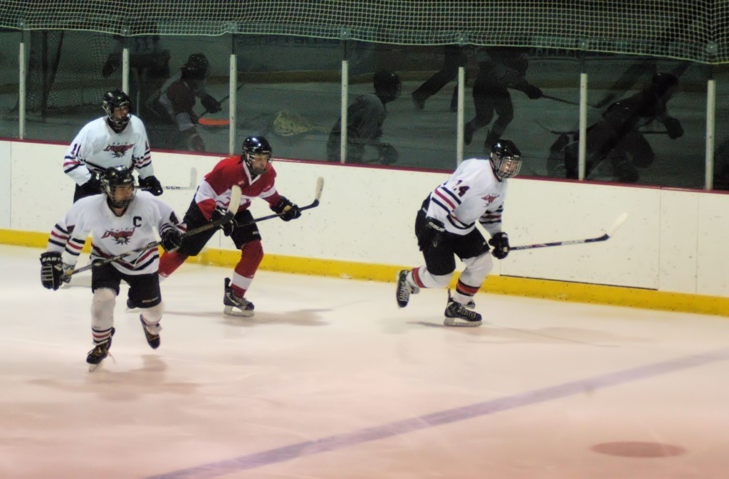 rink hockey