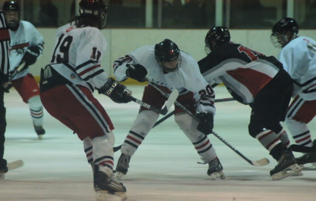 midget aa sticks
