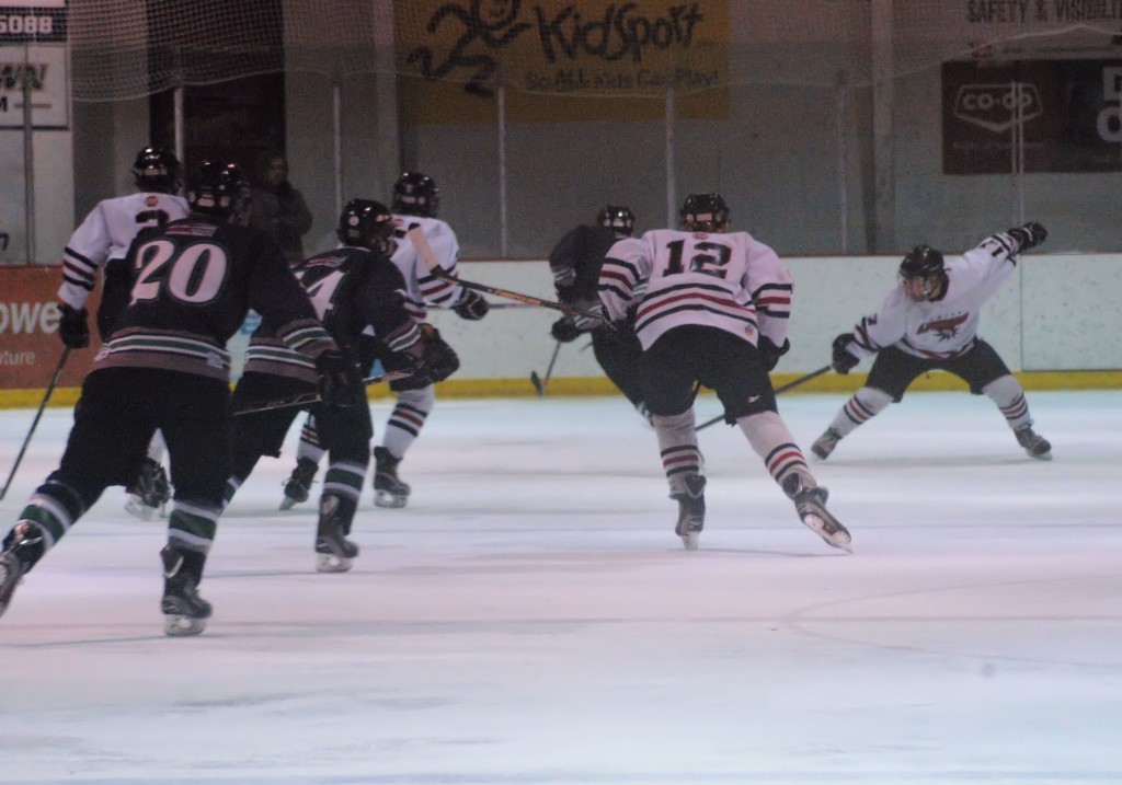 minor hockey - midget boys