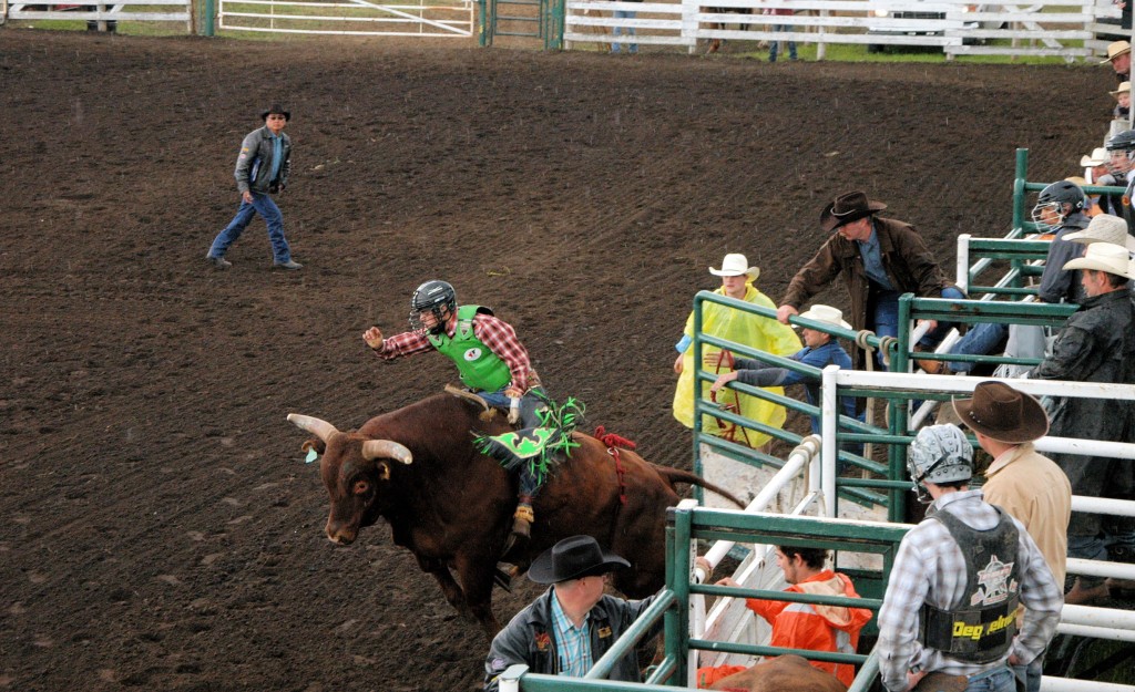bulls day2 heading out