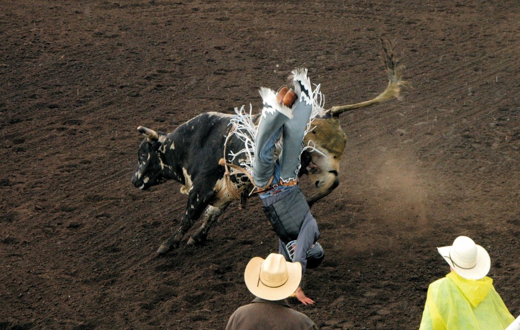 bulls day2 upside down