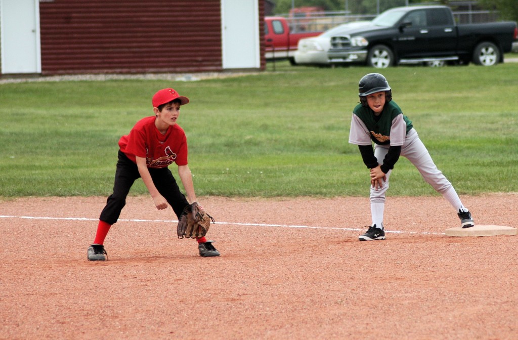 Mosquito Cardinals @ Wilkie