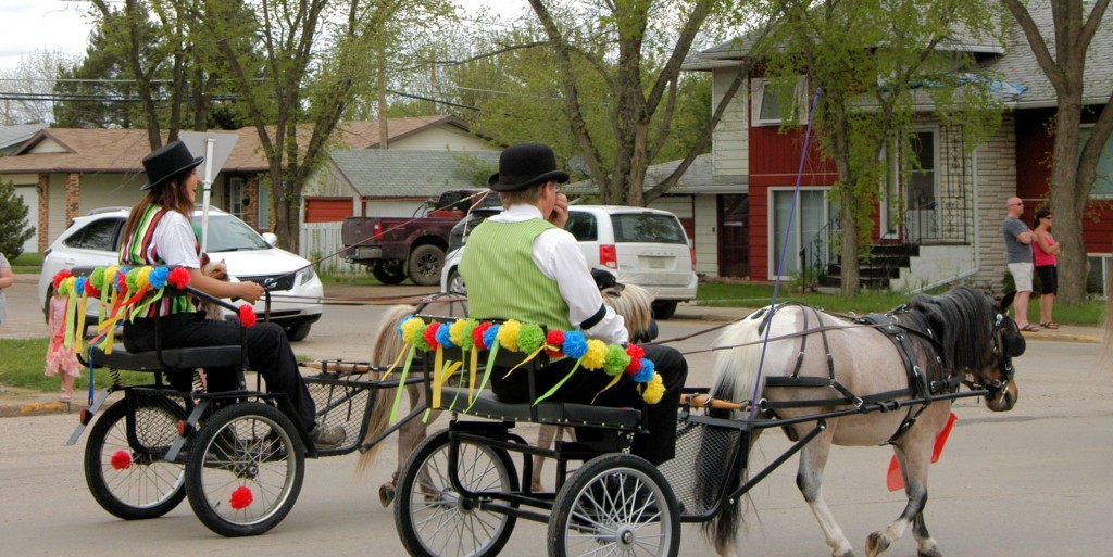 parade ponies