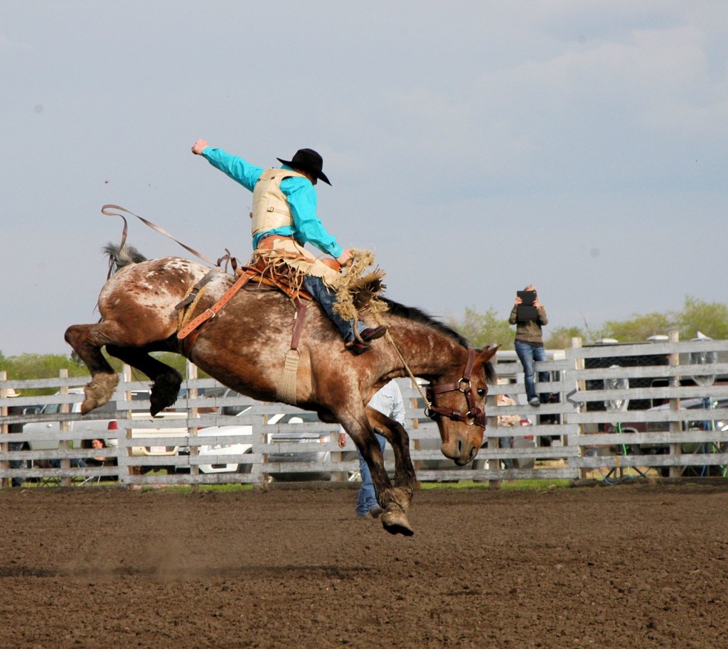 Unity SK rodeo, 2014