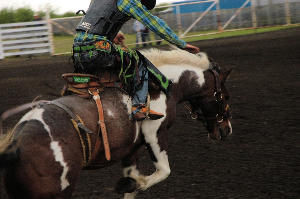 ride em cowboy!