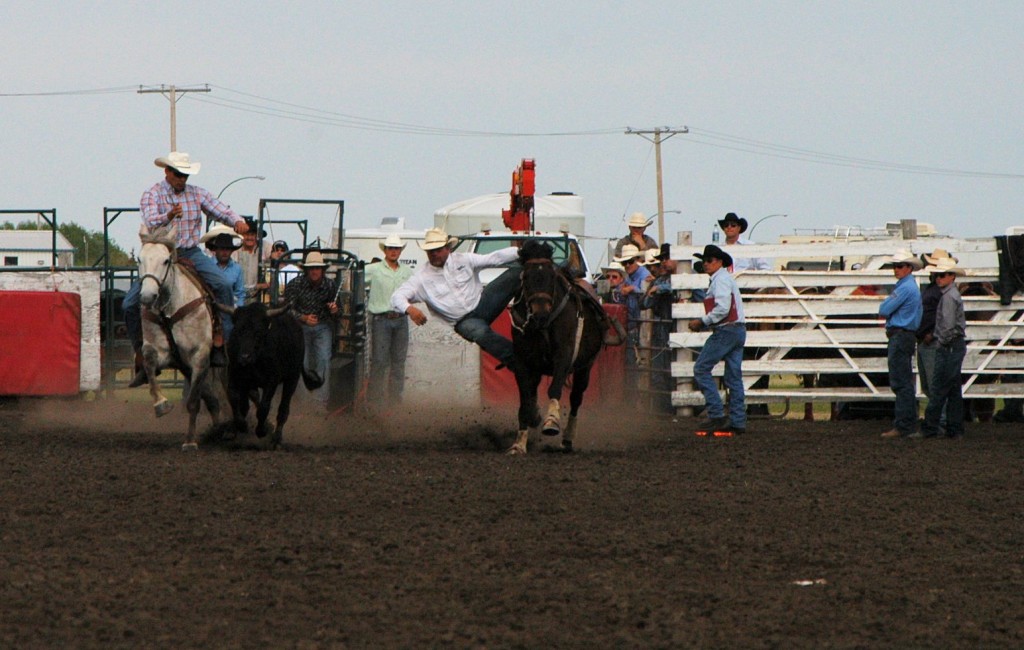 Going for the steer ...