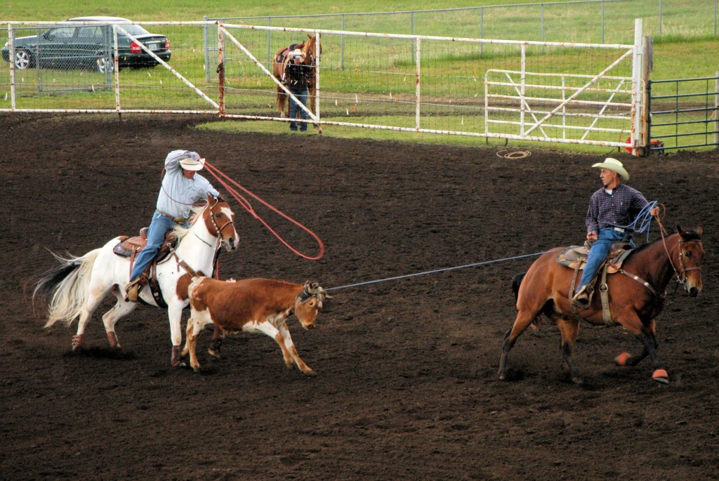 team roping day2