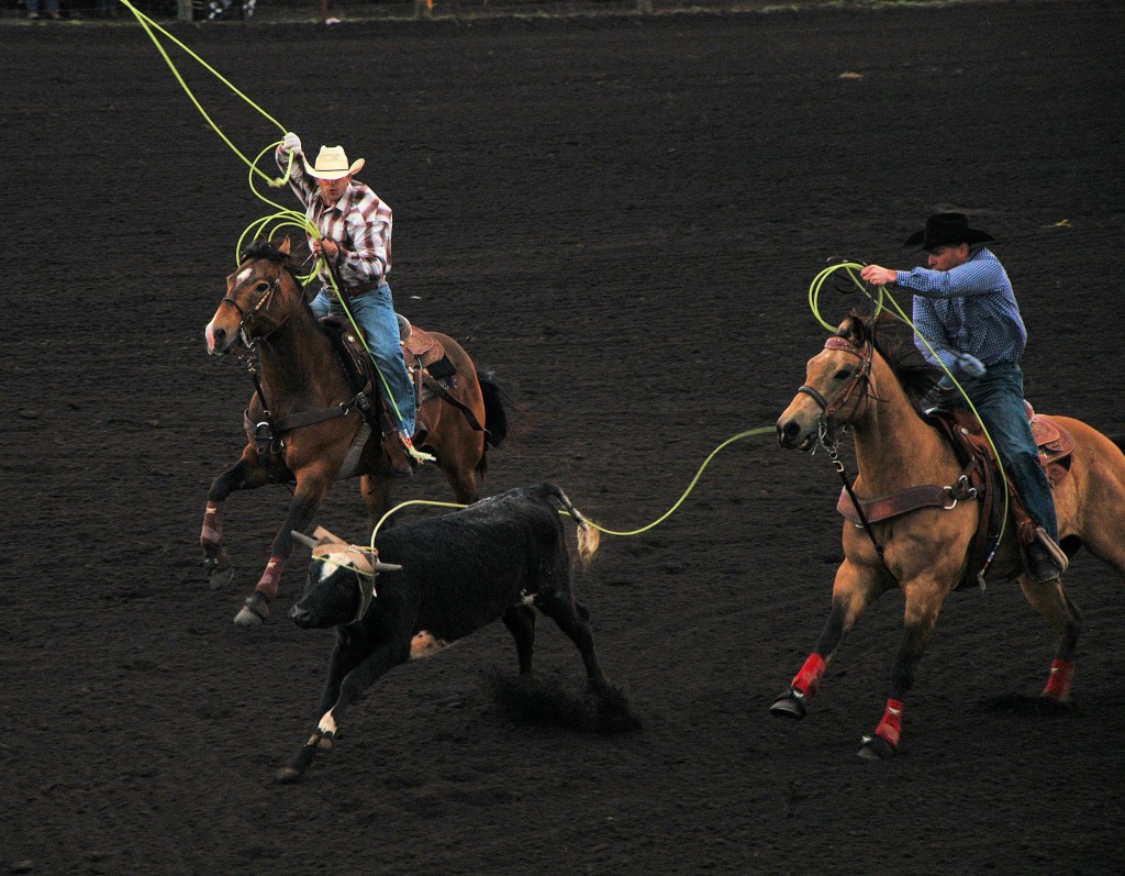 team roping2 day2