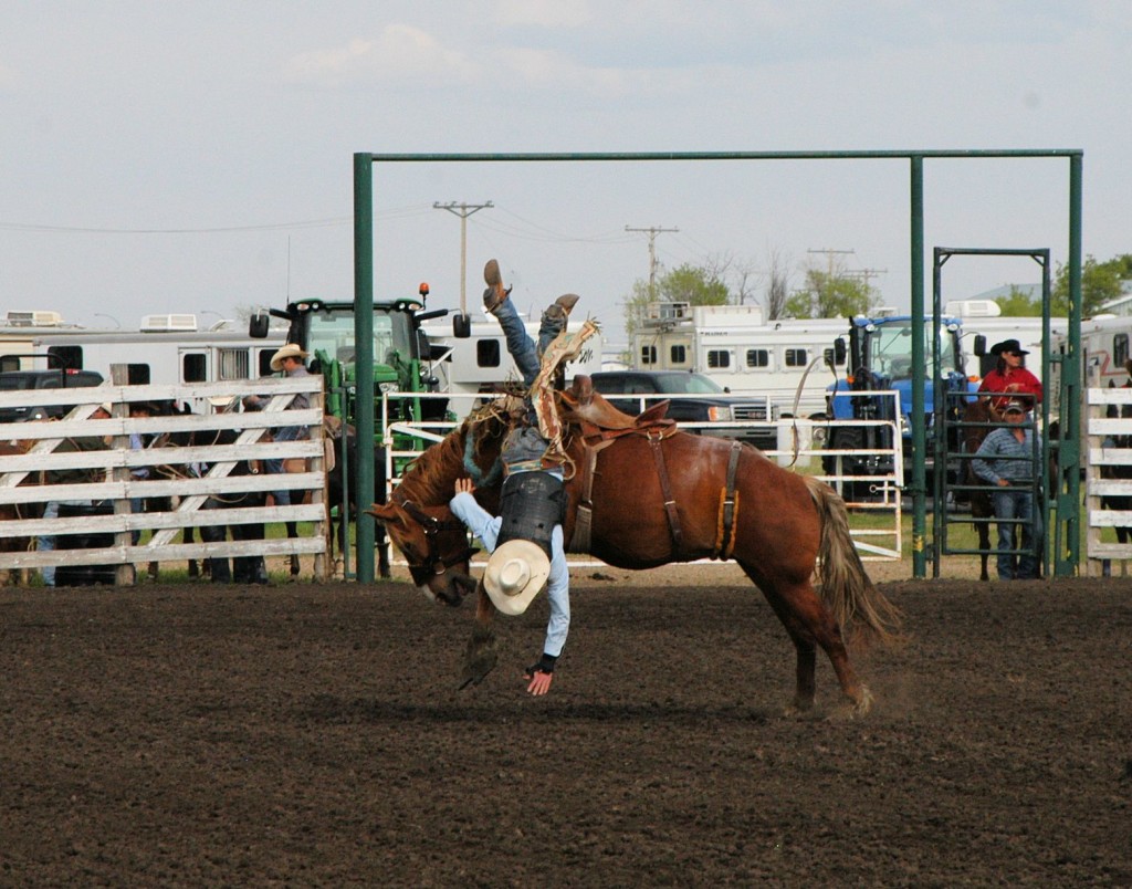 rodeo thrills and spills