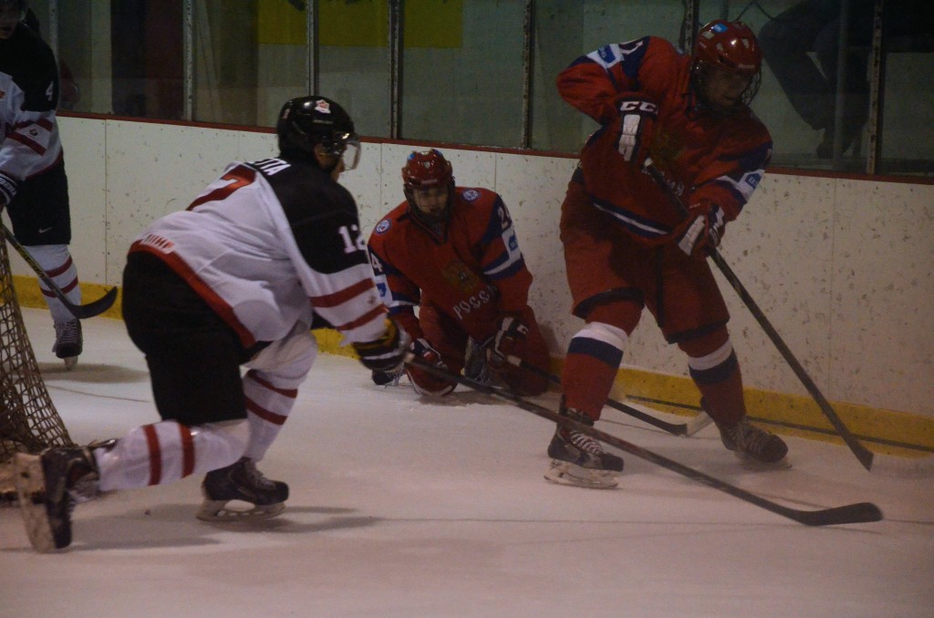 hockey boards