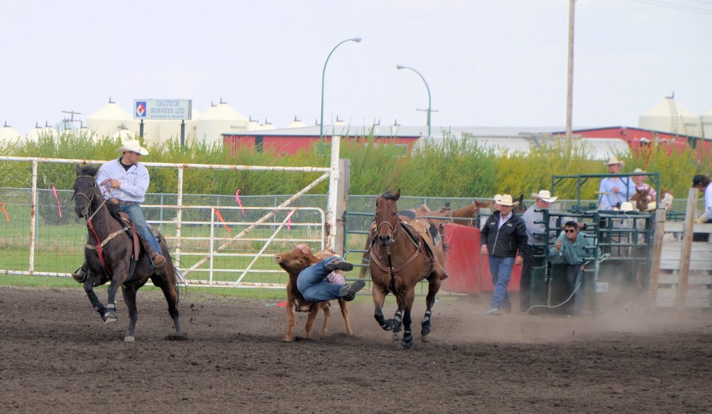 rodeo steer wrestling