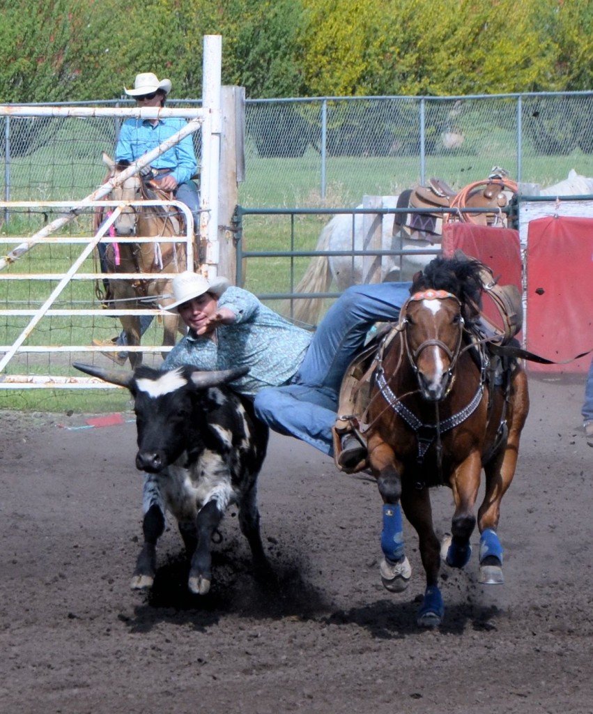 rodeo steer wrestling2