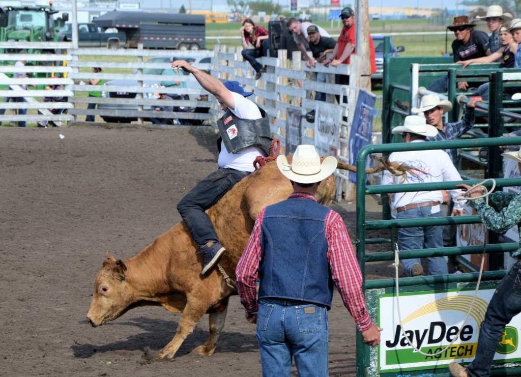 Unity Western Days, Celebrity Bull Riding