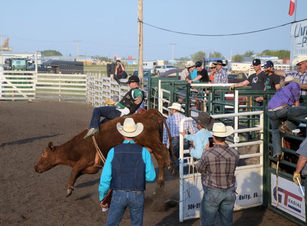 Celebrity Bull Riding at Unity, Saskatchewan