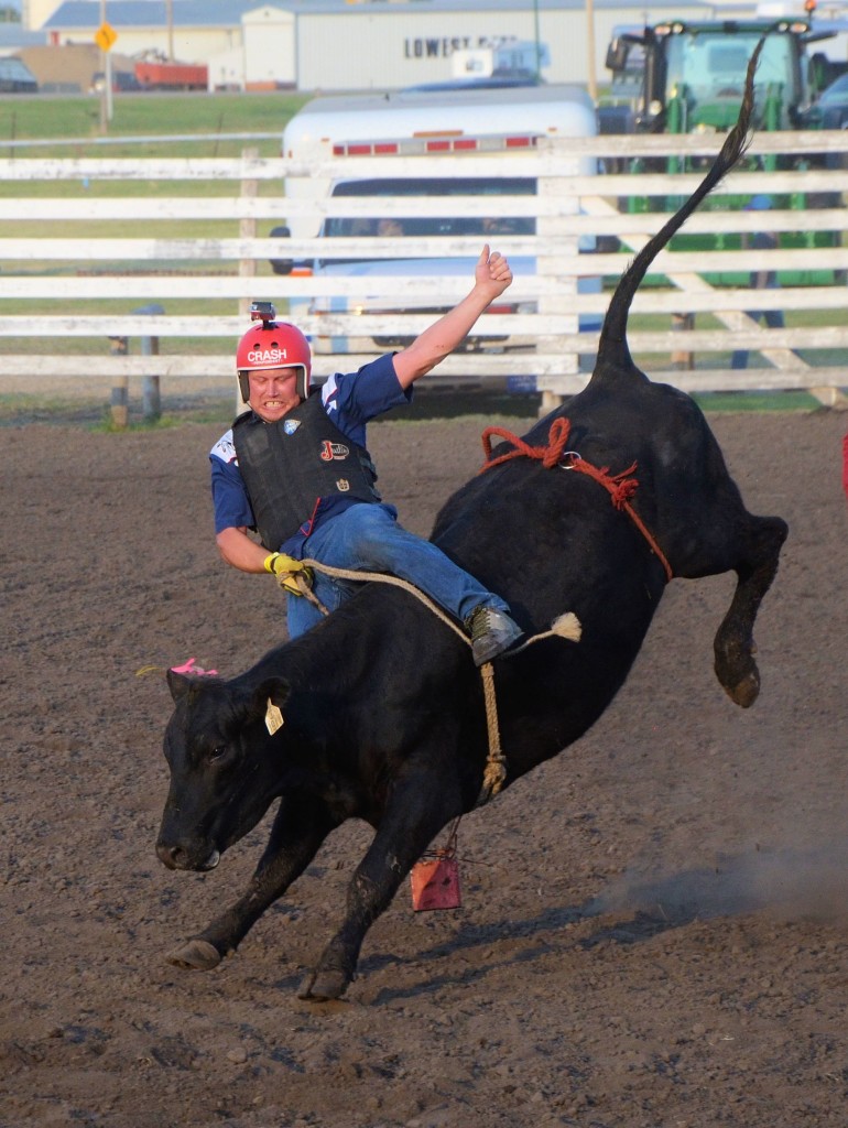 Unity's celebrities ride cows!