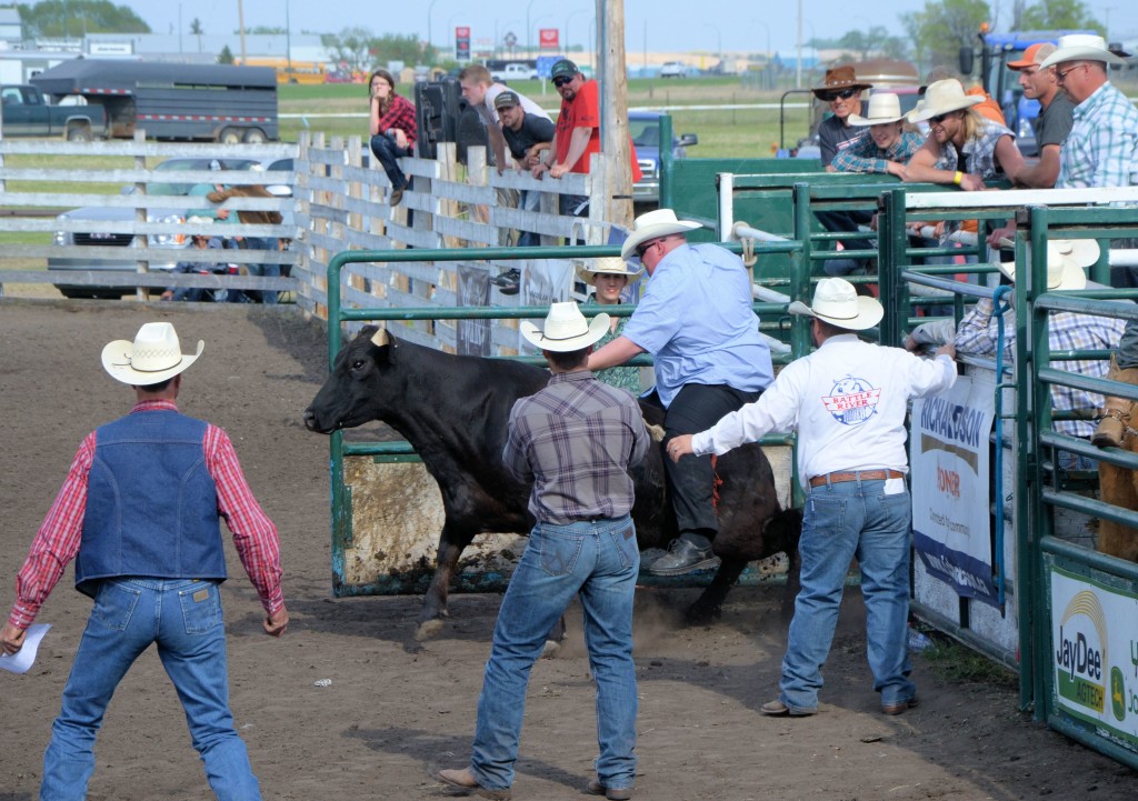Out of the chutes ...