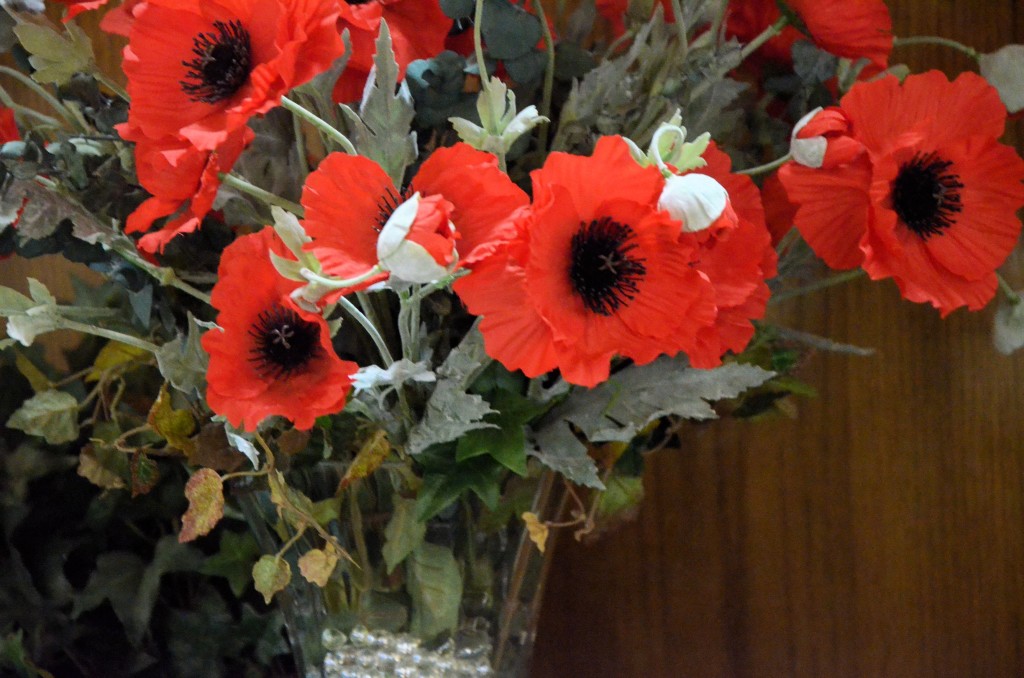 remembrance poppies