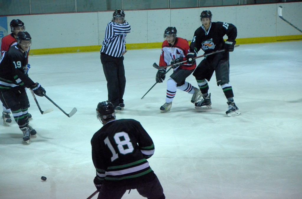 swhl puck in the middle
