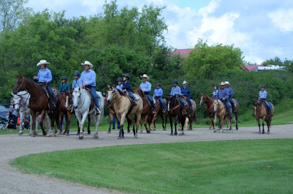 horses galore