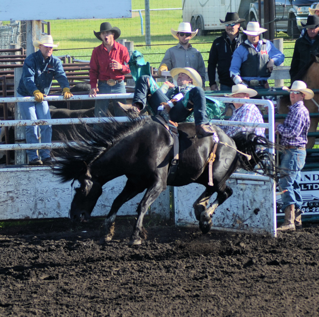 3792 bareback calder