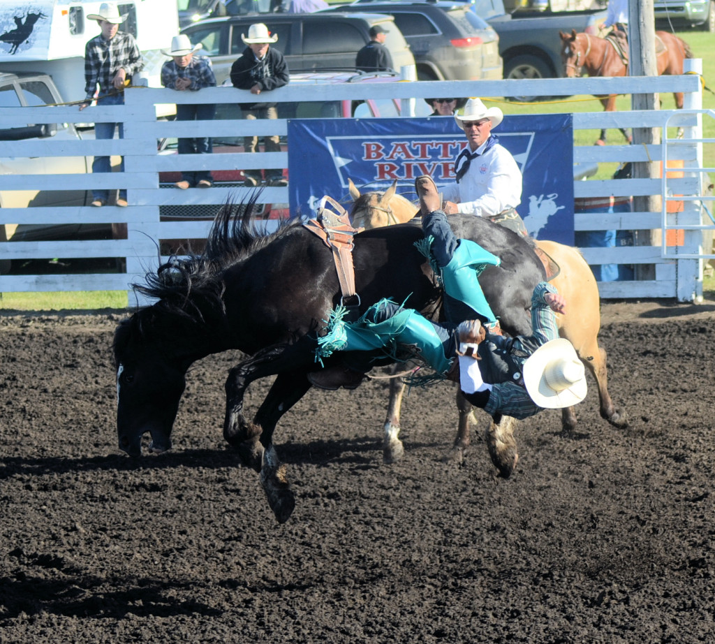 3800 bareback calder