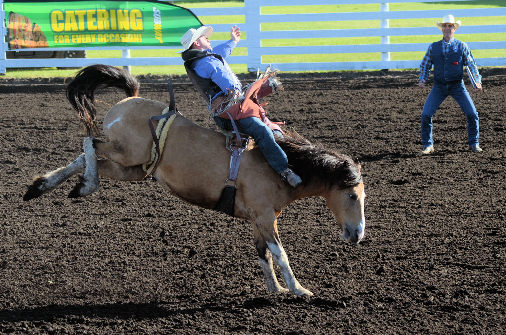3810 bareback phippsx