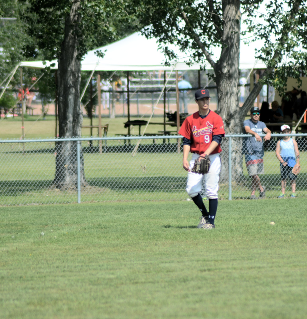 7989 fielder