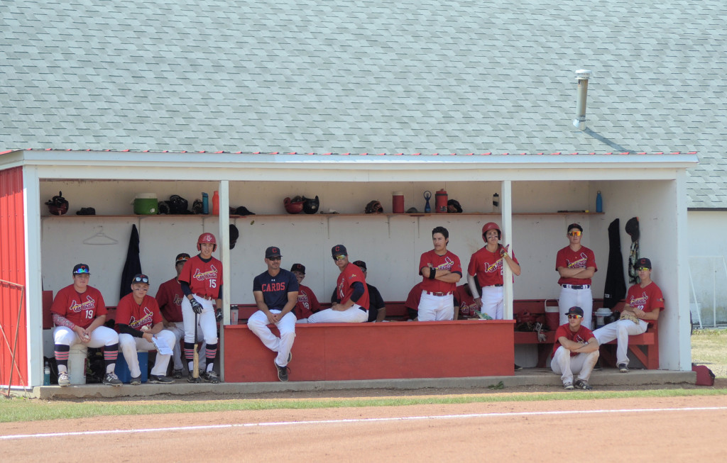 8041 cardinals bench