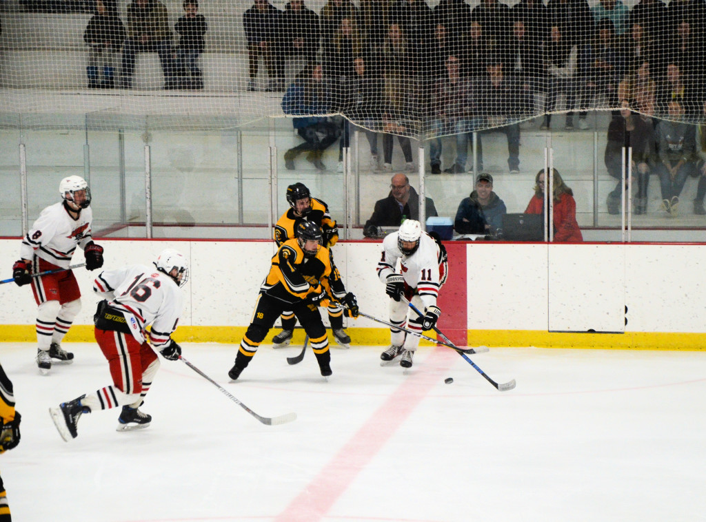 4065 mid-ice action with crowd