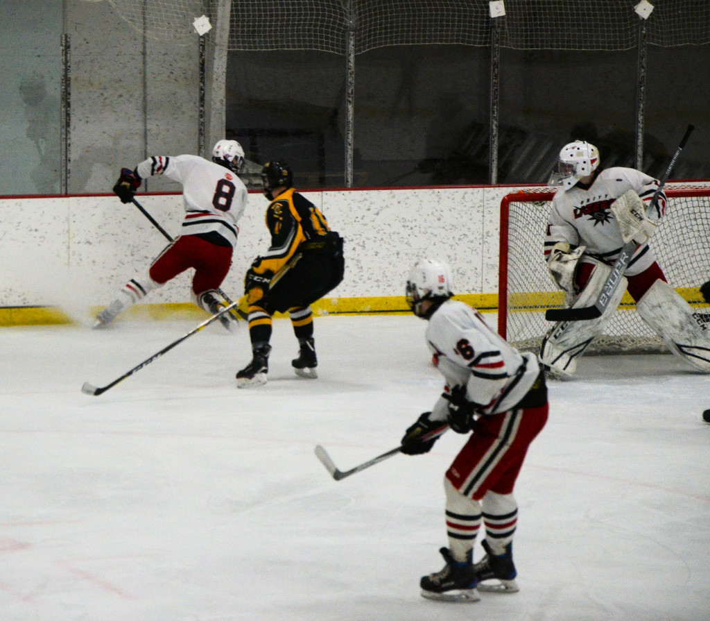 4102 skate ice