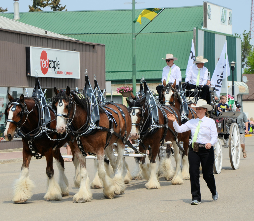 Tim Edwards' Clydesdale team, representing Nutrien Ag Solution, won the Judge's Choice award.