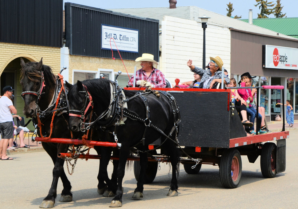 Denis Mitzel's team and wagon