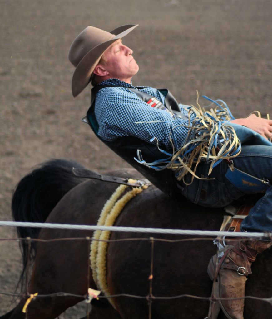 bareback bronc rider