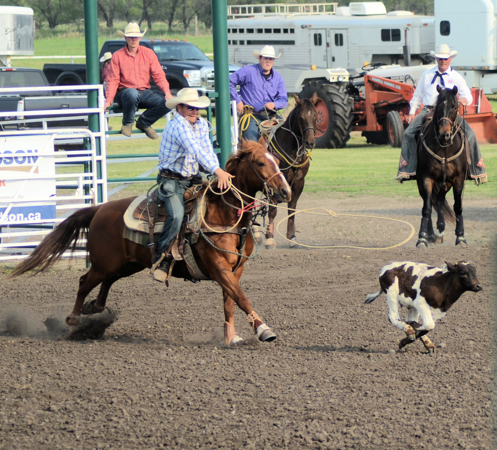 tie down roping at Unity rodeo
