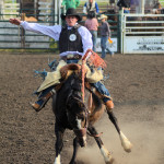 4975 saddle bronc rider