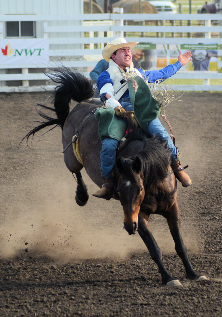 4991 saddle bronc