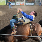 4995 bronc rider cu