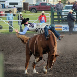 5007 bronc rider