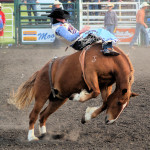 5008 bronc ride profile