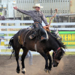 5075 bronc rider great expression