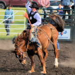 5093 bronc rider