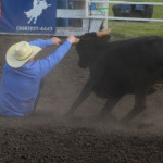 5124 steer getting away