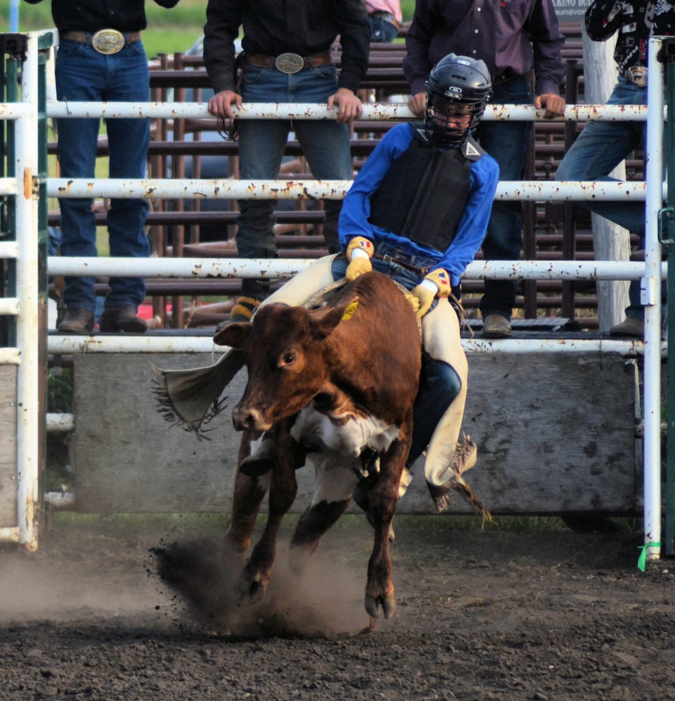 5137 steer rider