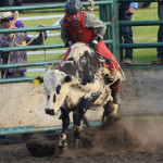 5153 steer rider