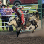 5154 steer rider
