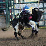 5162 steer rider dismount